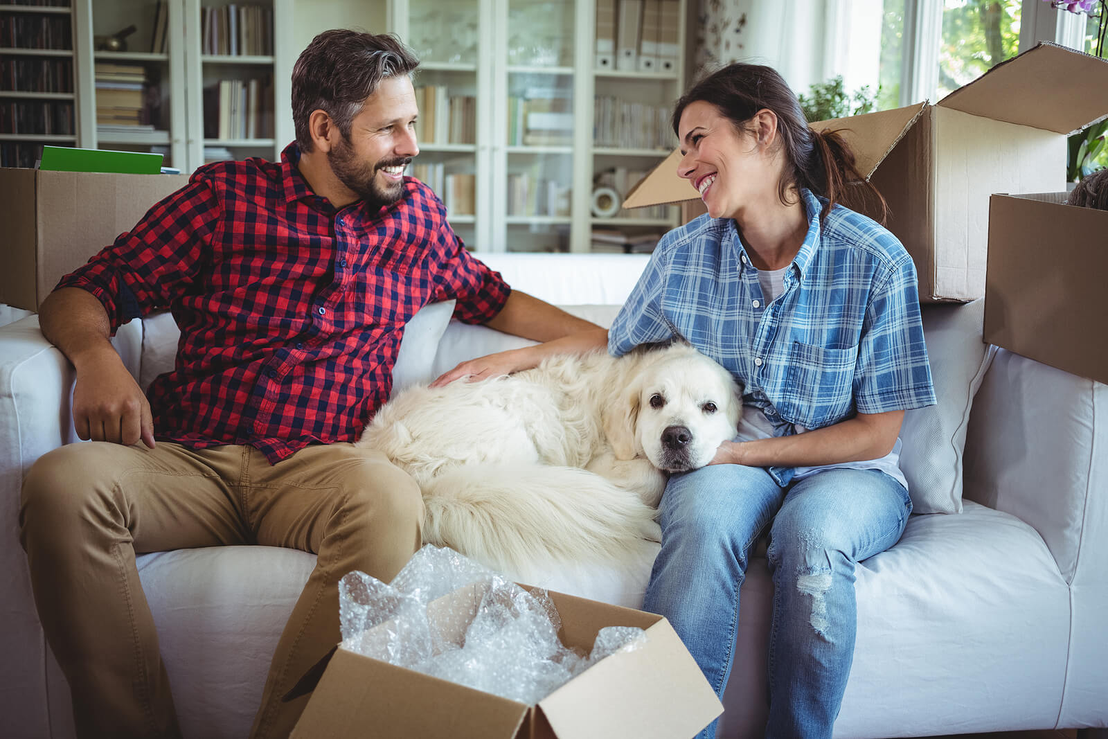 Pet-Friendly Rentals in Orlando: Policies, Risks and Revenue Opportunities